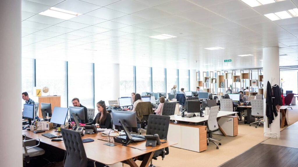 An office full of employees